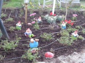 Jungs, habt Ihr Euch verlaufen?