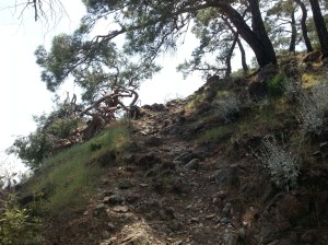 auf dem - hier etwas steinigen - Weg nach Phaselis