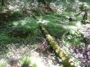 An dieser Quelle wäre auch der Sawyer-Wasserfilter gescheitert