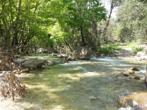 Die 2. Furt, noch tiefer und breiter