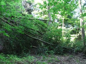 Dies ist wohl kein Hauptwanderweg