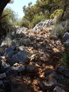 So ein Weg ist nicht gerade einfach