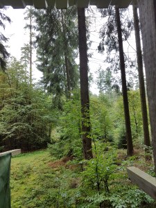 Friedliche Nutzung eines Hochsitzes für eine Pause 